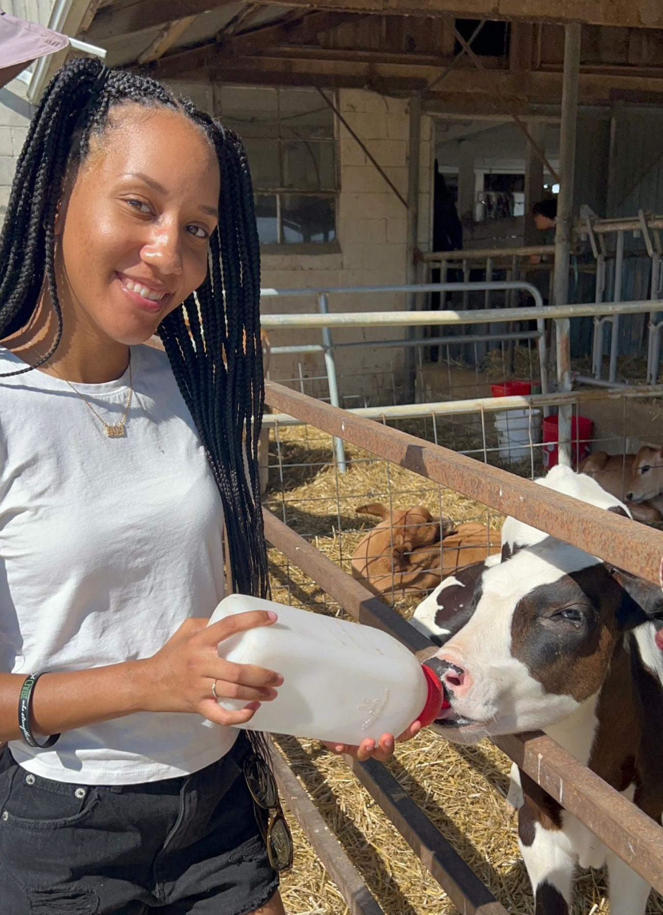 Genesis, student, feeding cow
